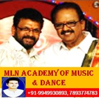 Mln Academy