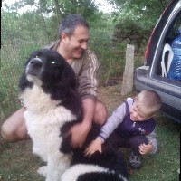 Кирил Лачев