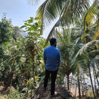 Karthik Balijepalli