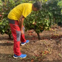 Juan Cuadrado Cualin