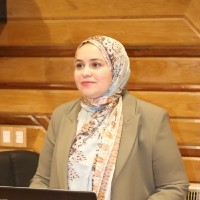 Alaa Hafez