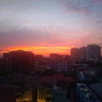 Iris __