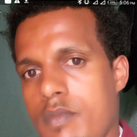 Bonsa Desa