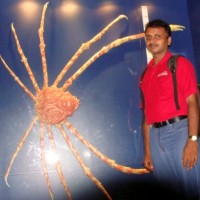 Vedaprakash Loganathan