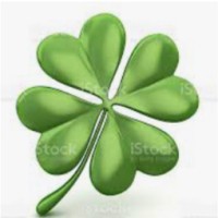 N-Clover Real Estate Investment