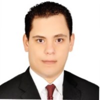 Karim T. Eldessouki