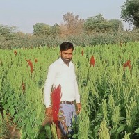 Nk Yadav