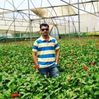 Abhay Sherikar