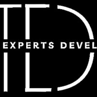 Experts Developer Software Development Company
