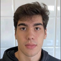 André Nogueira Ribeiro