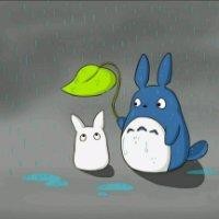 董远昭
