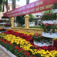 Hoa Nguyen