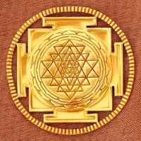 YOGESH HOLKAR