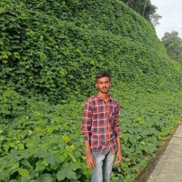 Guru Kiran Lokesh