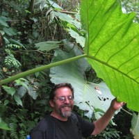 Steve Raish