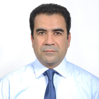 Farhad Haghighifard