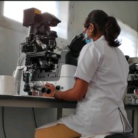 Megha Saravanan