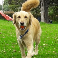 ESPERANZA SIERRA FAJARDO