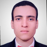 Serag el deen Abd el salam Mohammed Ali