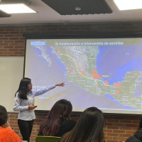 Shamira Vázquez Castillo