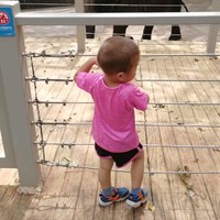 周晓文
