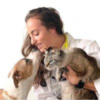 Jessica Himelman