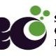 Seo Global Experts
