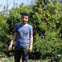 Adnan Kaya