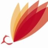 Phoenix Technology