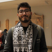 Roberto Shimokawa Falcão