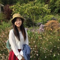Heng Yu Chiu