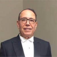 Mohamed Radi Shehada