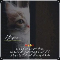 Naima Sohail