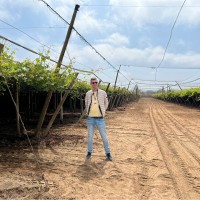 Vince Persoon