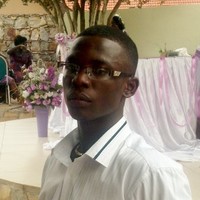 Dan Dan