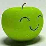 Md Jahidul Islam