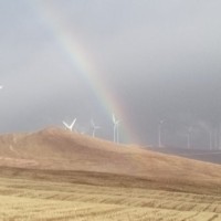 HÜSEYİN EMRE İMER