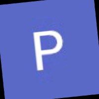 Pedro Miguel Tavares Mateus