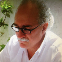 Giuliano Brizzi