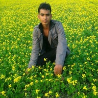 Robiul Hasan