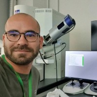Marco Zanini