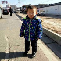 武晋宇