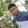 Basheer Ku