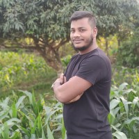 Md Abdullah Al Noman