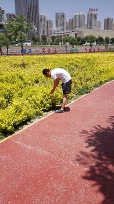 王世俊