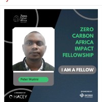 Peter Murimi (BSc. M.A)