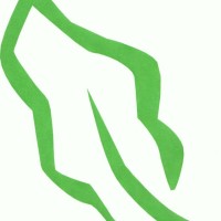 Avondale Gardens llc