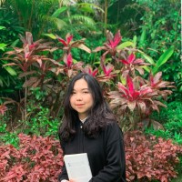 Mai Phương Nguyễn