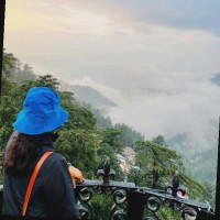 Shweta Raghav