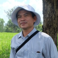 binh nt